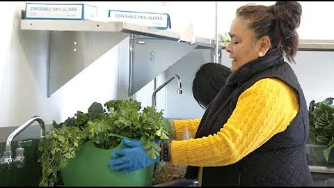 Bayside Community Center Strives to Close the Food Insecurity Gap