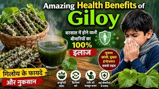 गिलोय से कीजिए बरसात में होने वाले वायरल बुखार जुकाम जैसी 100 बीमारियों का इलाज | इम्यूनिटी बूस्टर