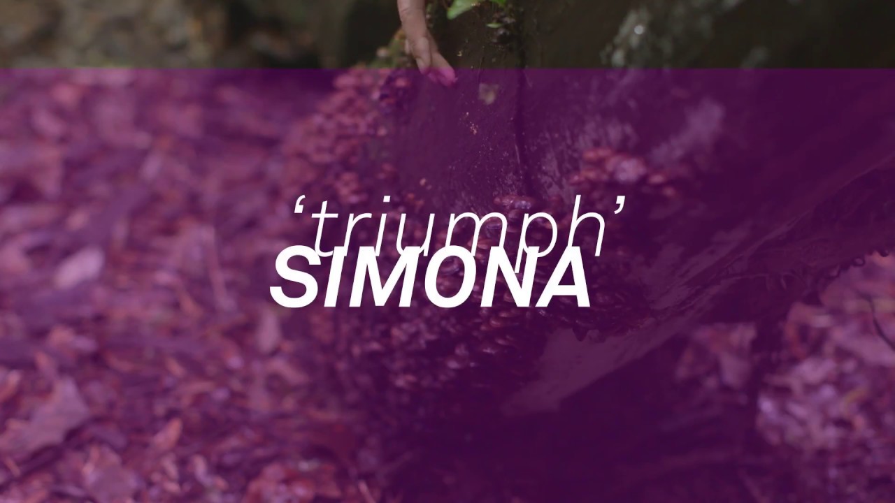 Watch SIMONA Triumph AU-LIVE-2017 on YouTube Watch SIMONA Triumph AU-LIVE-2017 on YouTube