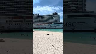 MSC Seashore docked in Ocean Cay! #cruiseship #msccruises