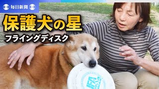 殺処分の危機から「保護犬の星」に