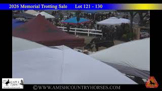 2026 Memorial Trotting Sale - part 13 of 18