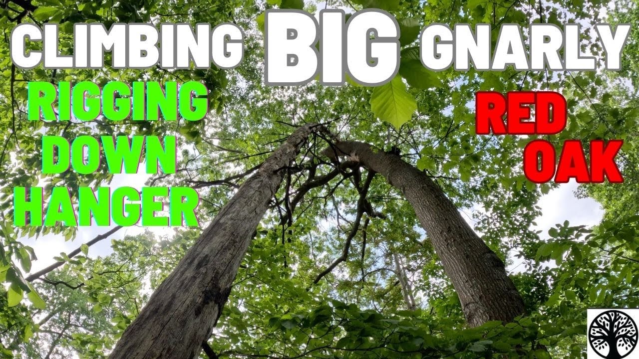RIGGING DOWN HANGER TREE - YouTube
