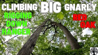 RIGGING DOWN HANGER TREE