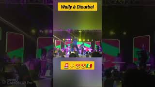 🔥Ambiance sur scène avec #wally seck🤩 et sa bande. #faramareen #senegal #mbalax #short