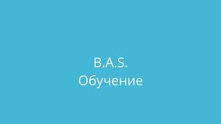 B.A.S. Работа с файловой системой