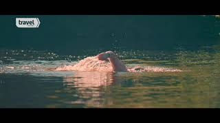 Travel Channel - Wild Travels Series Wild Swimming