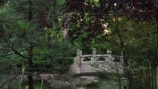 Alone in Kyoto HD