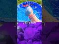 Learn with Toys | Sea Animal Names for Kids: Whale Shark Jellyfish Sperm Whale Pufferfish Boxfish
