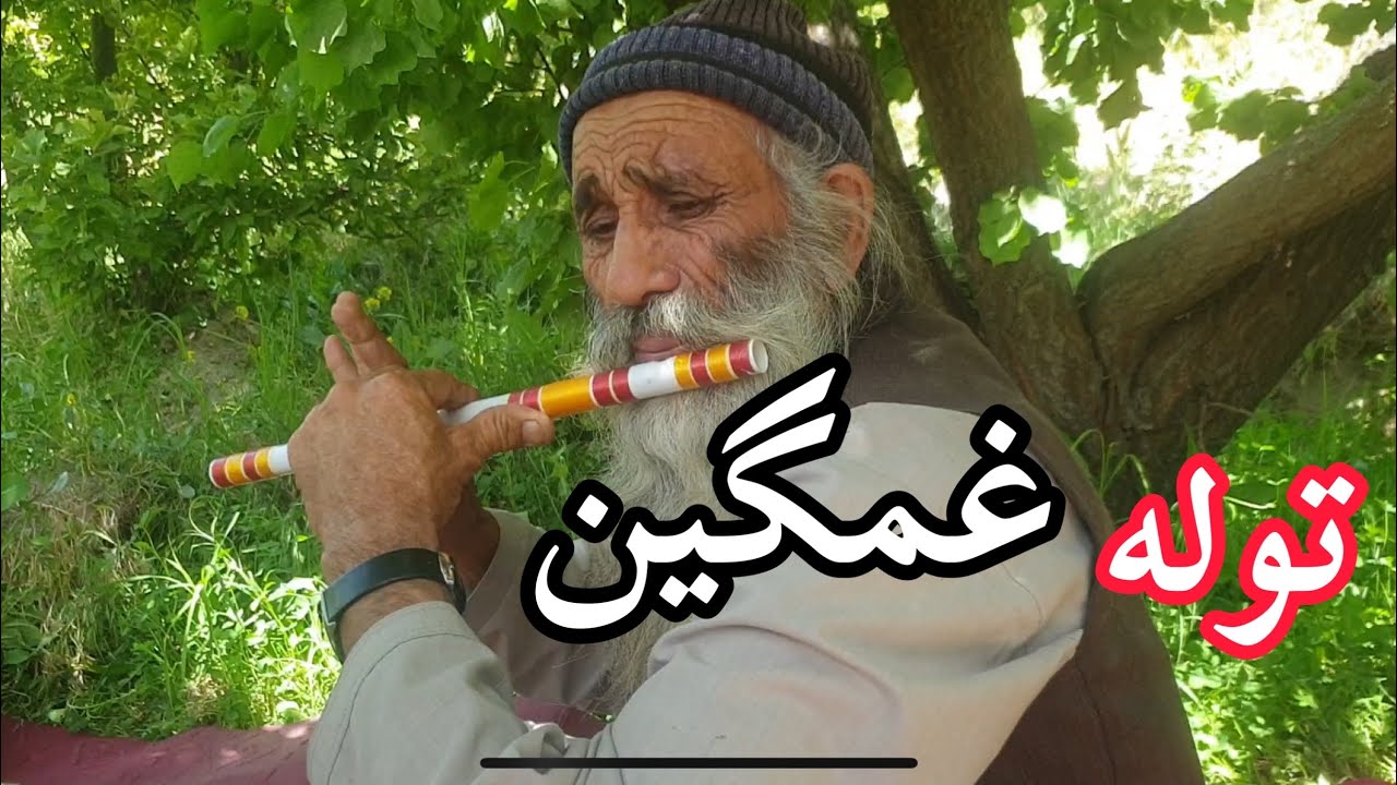 توله سوزناک و غمگین ماما جان در غزنی: رازهای پنهان - YouTube
