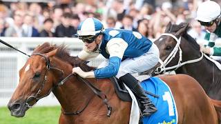 WILL JIMMY STAR? | Flemington, Morphettville & Doomben - Horse Racing Tips (16/5/26)