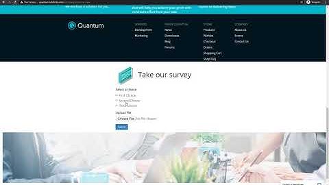 Getting Started with Sitefinity: Forms