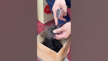 Sự thật bất ngờ sau khi mài tông đơ cắt tóc Codos T10 | Quang 3S #shorts