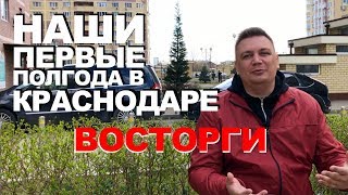 Полгода после переезда в Краснодар. Жизнь в Краснодаре плюсы и минусы глазами фрилансера. Отзыв 2019