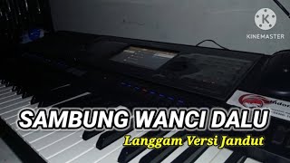 Sambung Wanci Dalu Cover Jandut 2025 Fyp