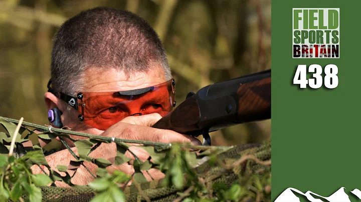 Fieldsports Britain - Spring Pigeonshooting