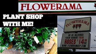 PLANT SHOP WITH ME! I VISIT THE FLOWERAMA!