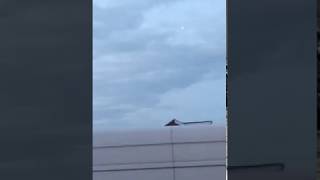 UFO, ORB, in England on iPhone. 20141123
