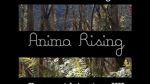 Anima Rising // This Changes Everything UK \\ Naomi Klein, Russell Brand, Natalie Bennett