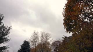 Autumn Hiss