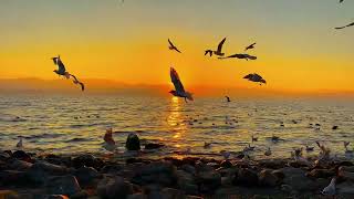 Download Lagu Sunset Splendor: Captivating Scenes of Sunsets in Yunnan, China MP3