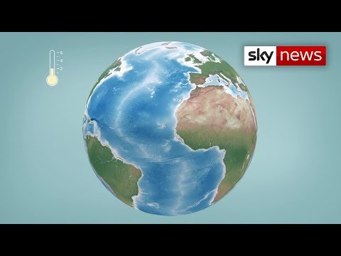 What happens if the world warms up by 2°C?