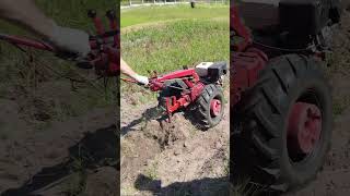 Лень - главный стимулятор при копке картофеля мотоблоком МТЗ Беларус 09Н!
