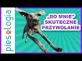 Do mnie nauka skutecznego przywoania