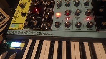 Wacky Matriarch Fun 2 - Sync 