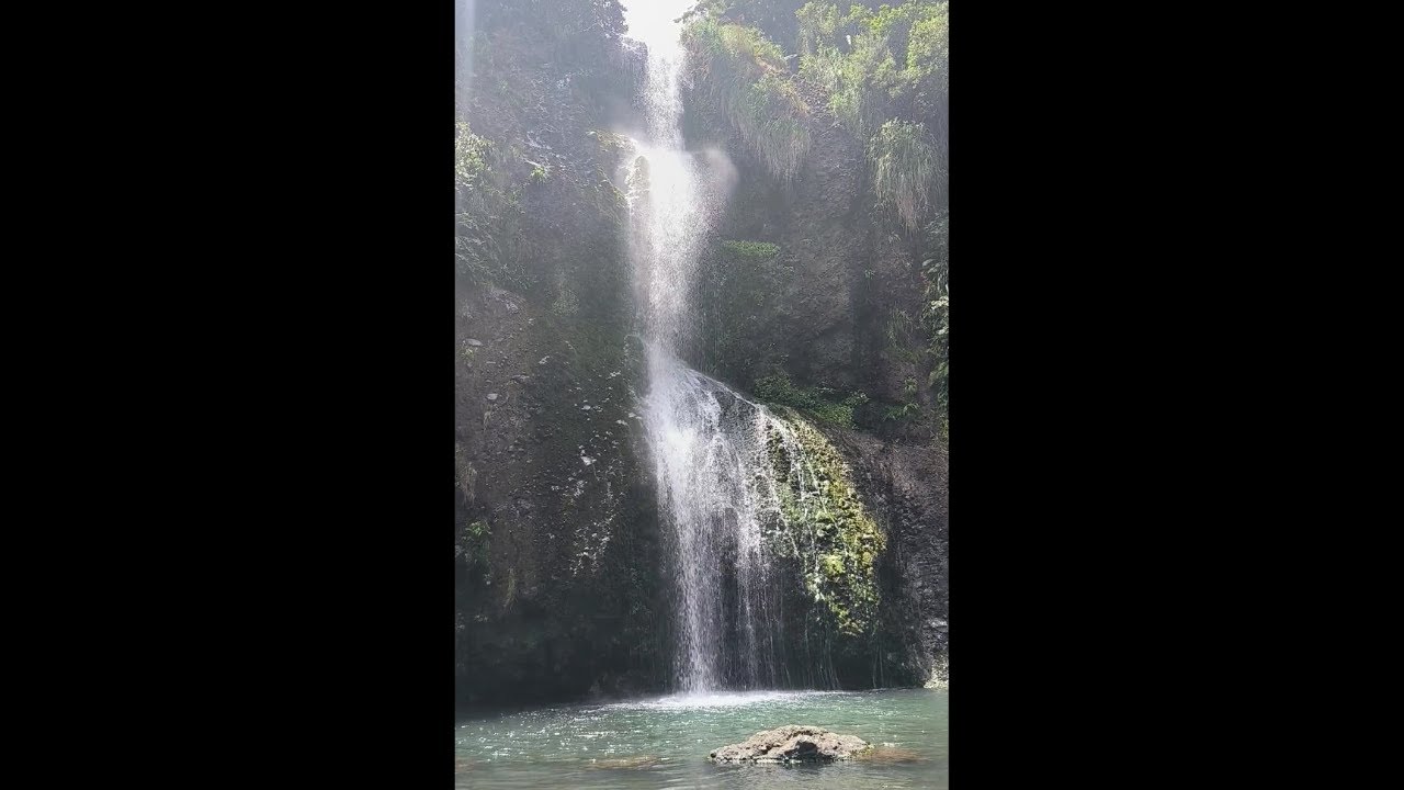 Piha Beach dan Kitekite Falls - 2025