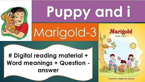 Puppy and I ( marigold -3) With word -meanings and question answer