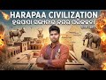 Harappa Civilization in odia ||ହରପାପା ସଭ୍ୟତା||Harappa Civilization in||Harappa Sanskruti||Our chse