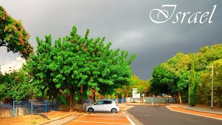 The LongAwaited Rain in Israel. Relaxing Walk in The Rain in Ness Ziona