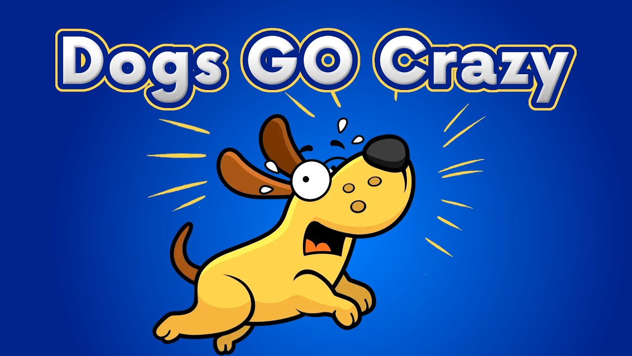 Sounds That Make Dogs RUN AWAY YouTube Sounds that make dogs run away youtube