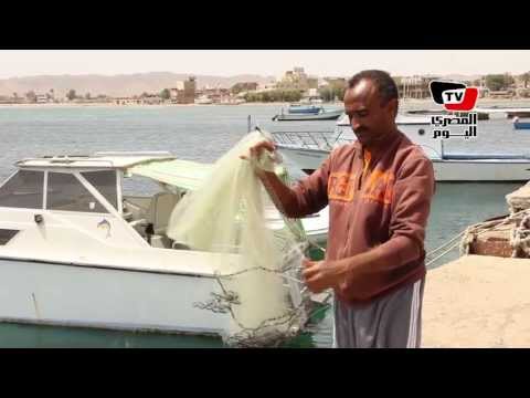 صياد «القصير».. «شبك من غير سياسة»