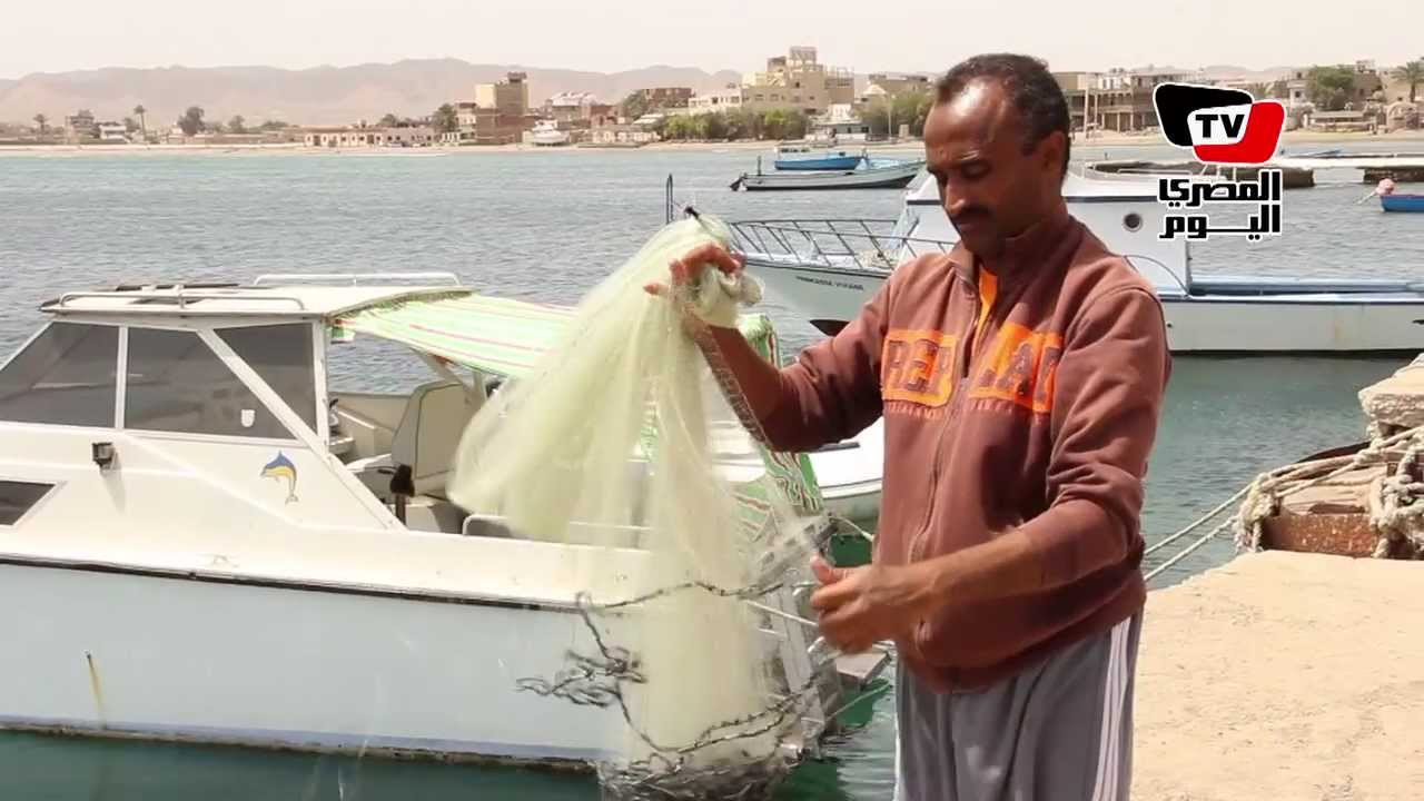 صياد «القصير».. «شبك من غير سياسة»