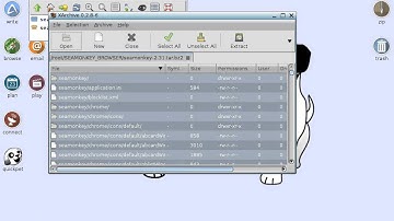 Puppy linux - descargar y ejecutar navegador (video re-editado)