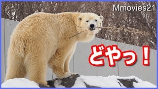 バキバキ折った新しいコレクションが風で飛ぶ〜リラのどや顔
