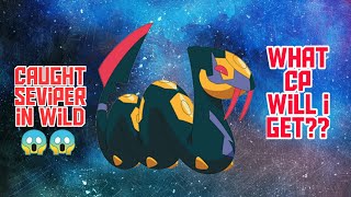 Caught seviper in wild? || Pokemon go #bezedgaming #pokemongo