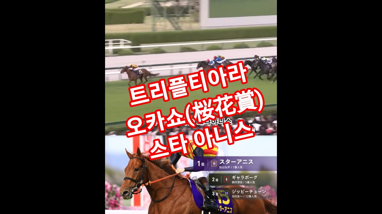 일본경마 암말 삼관경주 1탄 오카쇼(앵화상) 스타 아니스(Star Anise) 팔각(八角)​ 압승