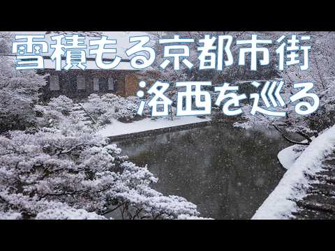 雪景色の京都、洛西を巡る(2026/2/8) #kyoto #snow #japan