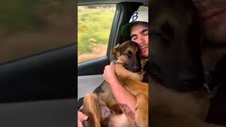 Guy Hugging a Sleepy Puppy While Taking a Nap in a Car