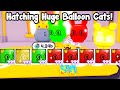 I hatch royal egg using 10 accounts to get huge balloon cat  pet simulator x roblox