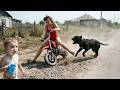 Hilarious Moments That Will Make You Forget Everything Else and Laugh Out Loud 😂