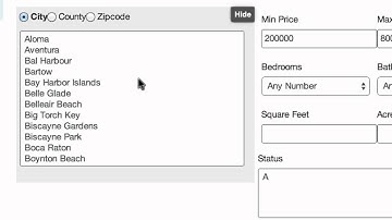 Custom IDX Search Page