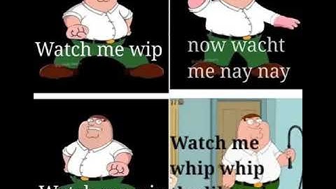 Watch me whip whip the libtard