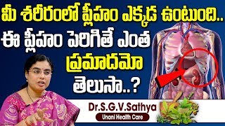 ప్లీహం పెరిగితే ఎంత ప్రమాదమో తెలుసా? | Unani Treatment for Spleen Enlargement |Health Tips In Telugu