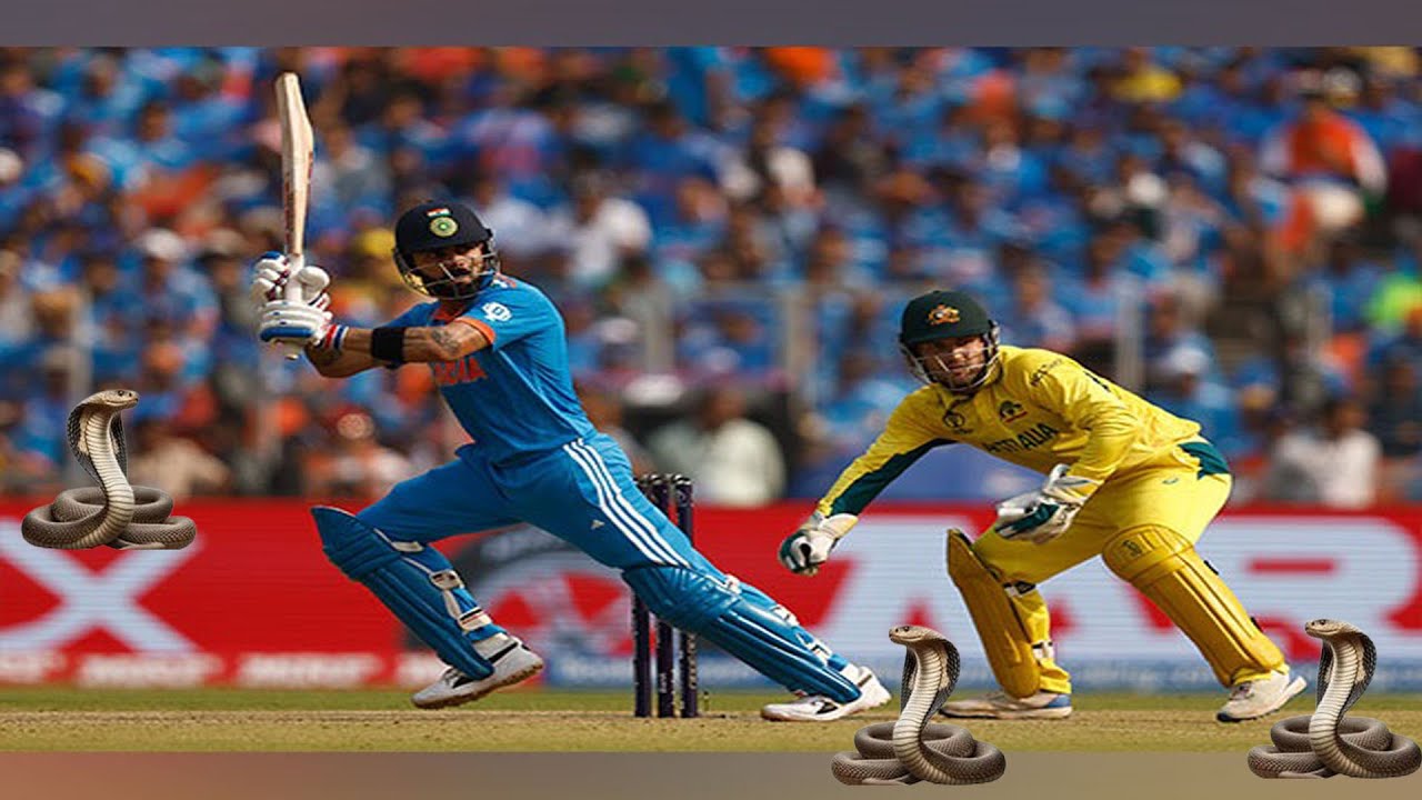 क्रिकेट में सांप  || क्रिकेट मैदान में सांप आ गया || snake in cricket ground 