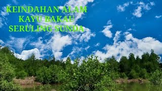 Kecapi suling sunda keindahan alam kayu bakau