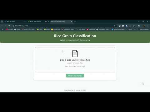 Rice Grain Classification, June 2025